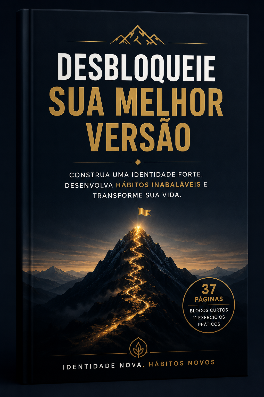 Livro A Nova Identidade